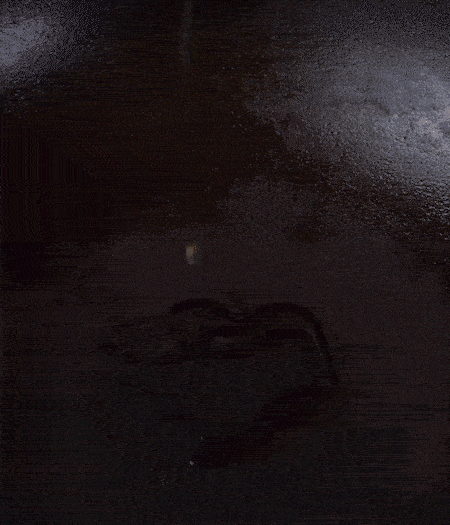 冷鍋熱油，下蒜片爆香，下香腸、玉米筍、蓮藕、西芹爆炒，期間加點(diǎn)水，翻炒1分鐘后加新鮮百合片，翻炒30秒。