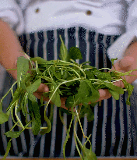 馬蘭頭焯水，切成細(xì)末。